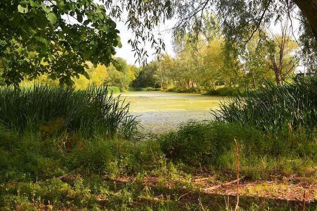 Село Чуровичи. Чем живёт Брянская область путешествия, факты, фото