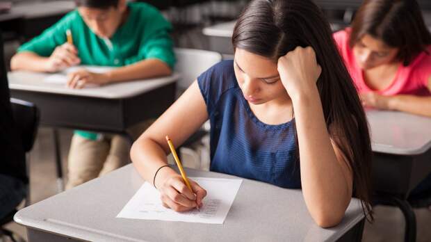 Официальная шкала перевода баллов ОГЭ в оценки в 2026 году