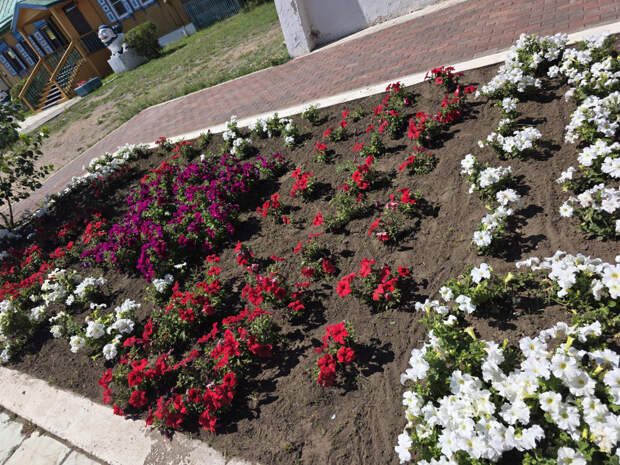 20250815_120550.jpg 20250815_120550.jpg