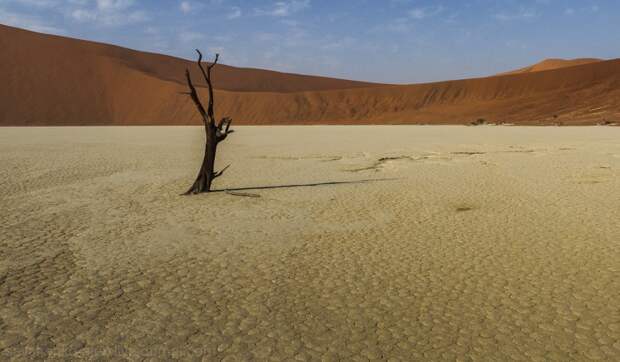 Sossusvlei25 Африка. Намибия. Пустыня Намиб   Соссусфлей