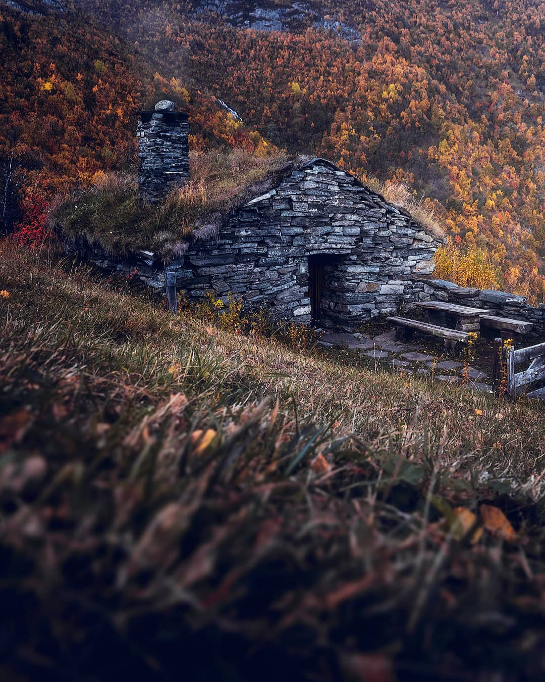прикольные и интересные фото на pixmafia.com