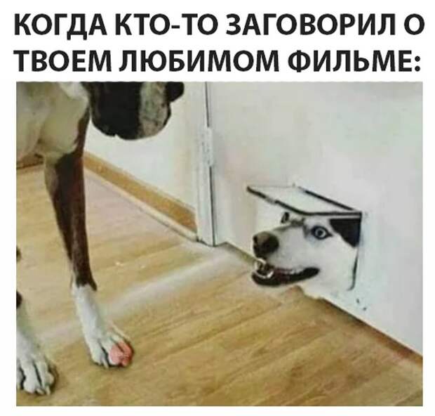 Подборка прикольных картинок (25 фото)