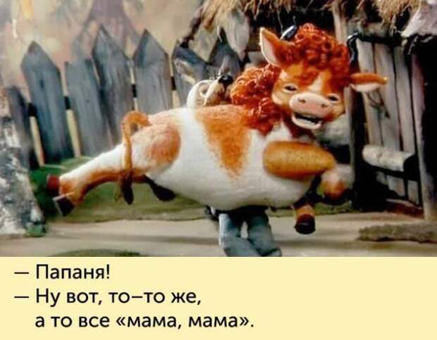 Фразы из детских мультфильмов СССР, мультфильмы, фразы