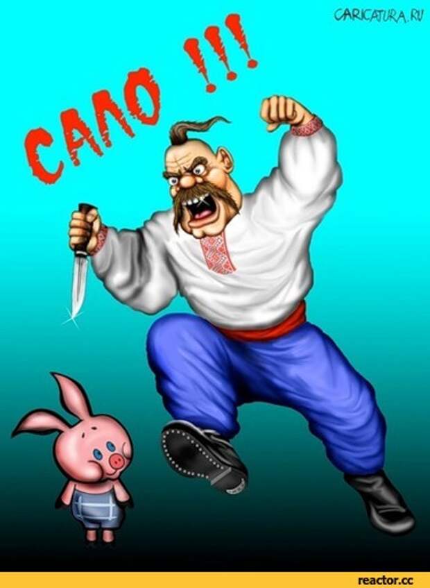 сш:/тлм