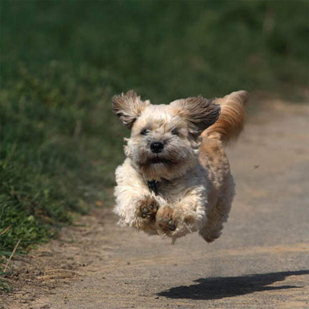 Фотография: Без фотошопа (часть 3) №17 - BigPicture.ru