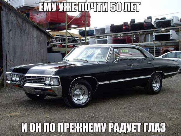 Подборка автоприколов - 66