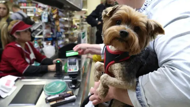 «Думаю, у европейцев хватит ума не совершать самоубийственных действий»