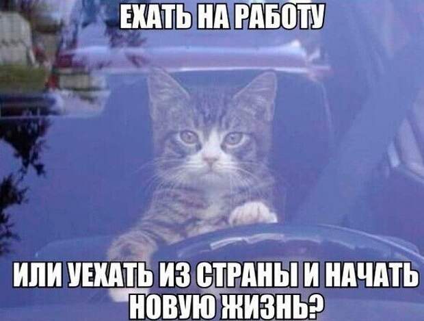 А как вам работается по жизни? А как вам работается по жизни?