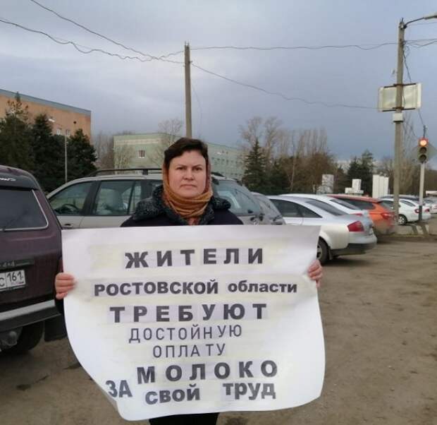 Невыездные Бурёнки