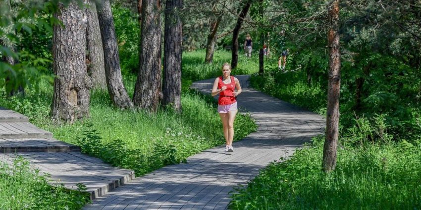 Врач: Укусы комаров могут приводить к появлению в организме паразитов. Фото: mos.ru