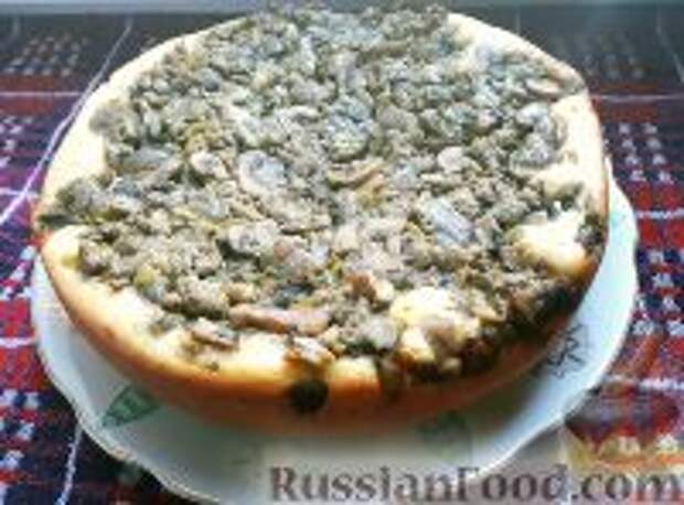 Фото к рецепту: Пирог с мясом и грибами (в мультиварке)