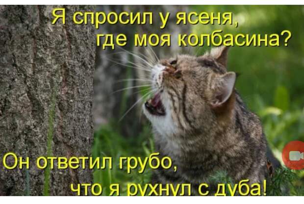 Эту картинку с надписью надо рассматривать в хорошей компании под лёгким шафе. 