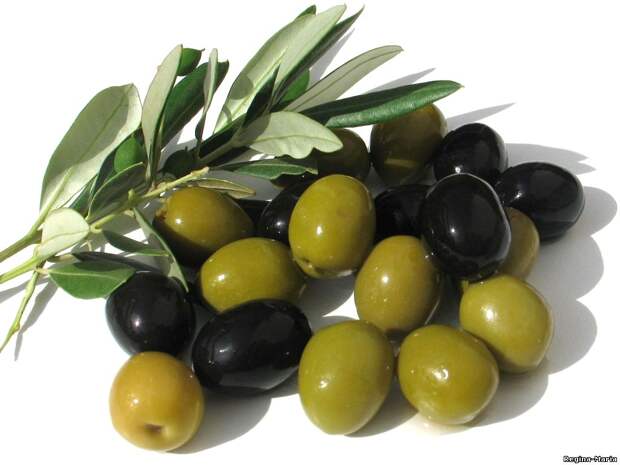 Картинки по запросу оливки