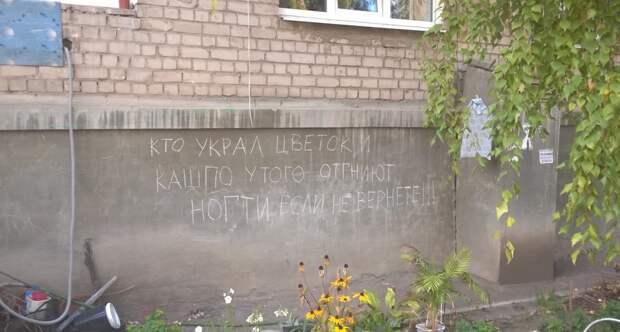 Доброта здесь просто витает в воздухе  прикол, россия, самара, юмор