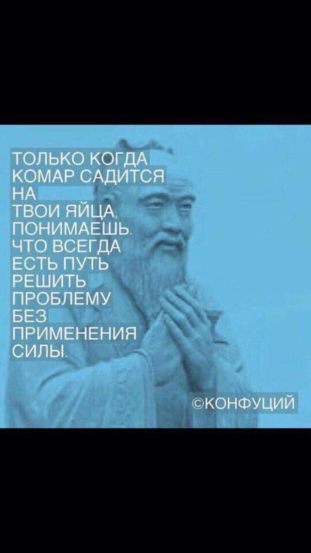 Подборка интернет юмора Сатира и Юмор, картинки с подписью и без, прикол, приколы, юмор