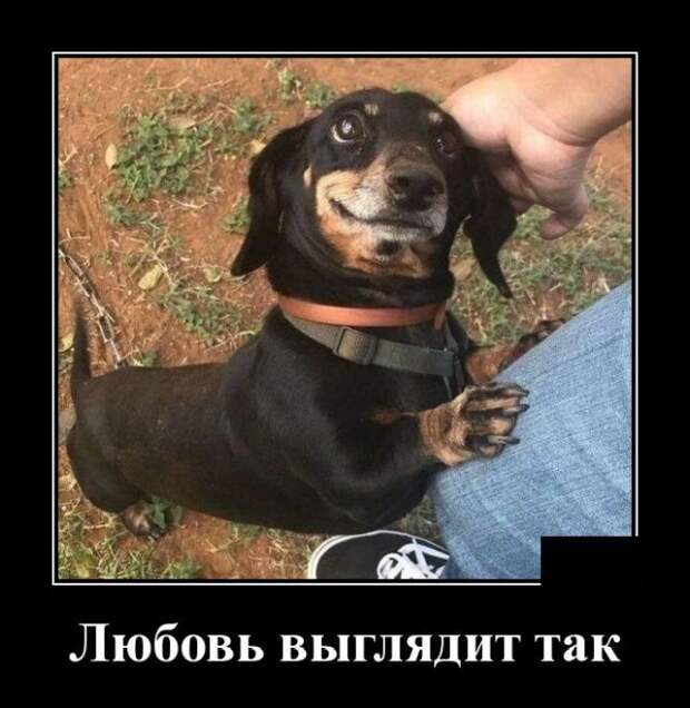demotivatory-demotivator-smeshnye-demotivatory-demotivator-so-smyslom