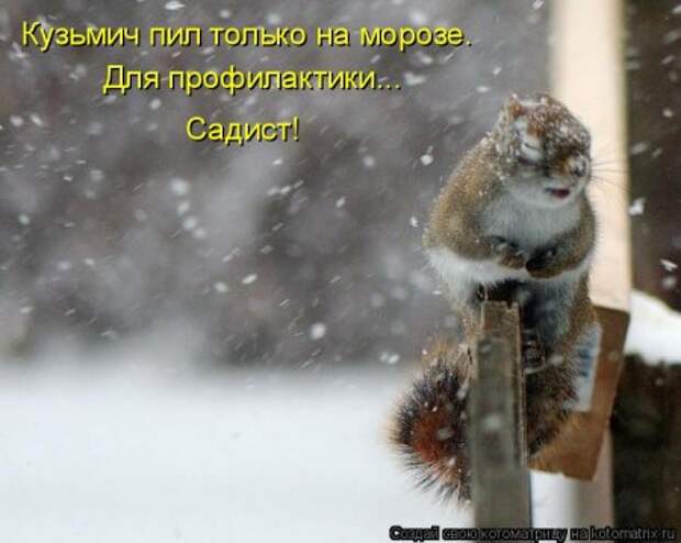 Не только котоматрицы.