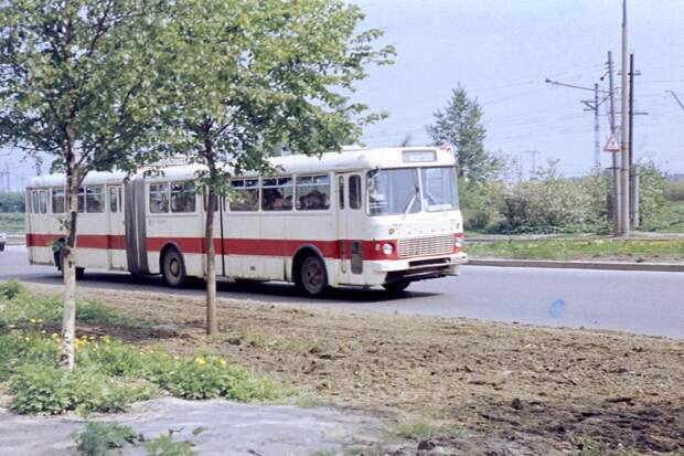 mskbus19 Первый московский автобус