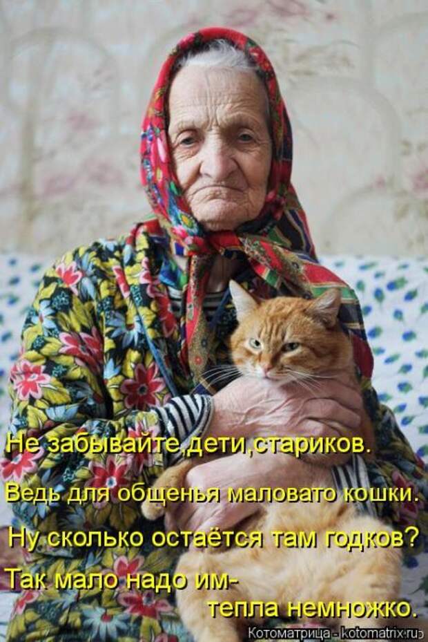 Котоматрицы(картинки с надписями)