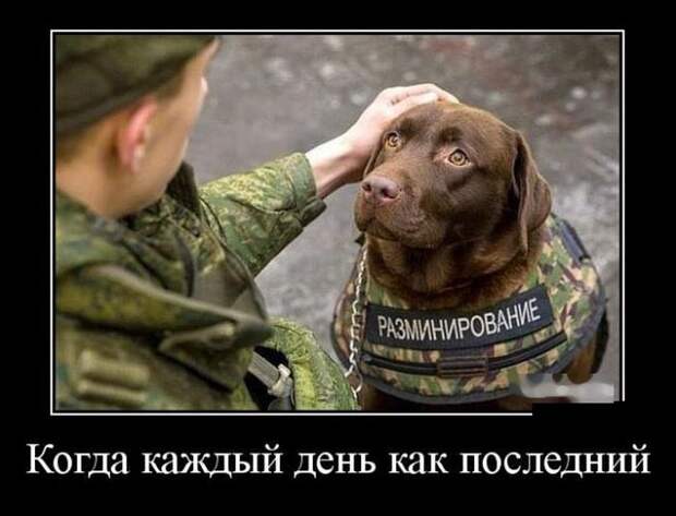 Демотиваторы (30 фото)