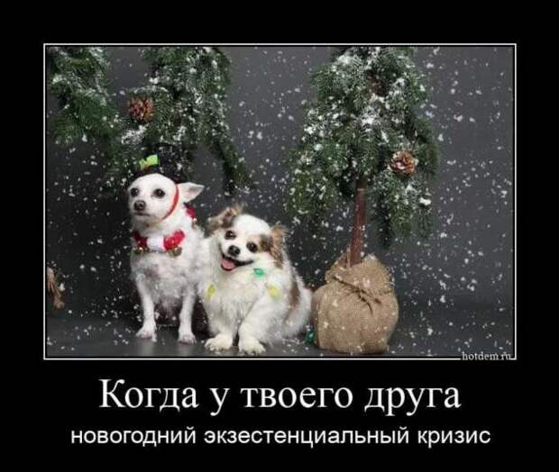 Прикольные демотиваторы с надписями. Подборка chert-poberi-dem-chert-poberi-dem-57290913072020-16 картинка chert-poberi-dem-57290913072020-16