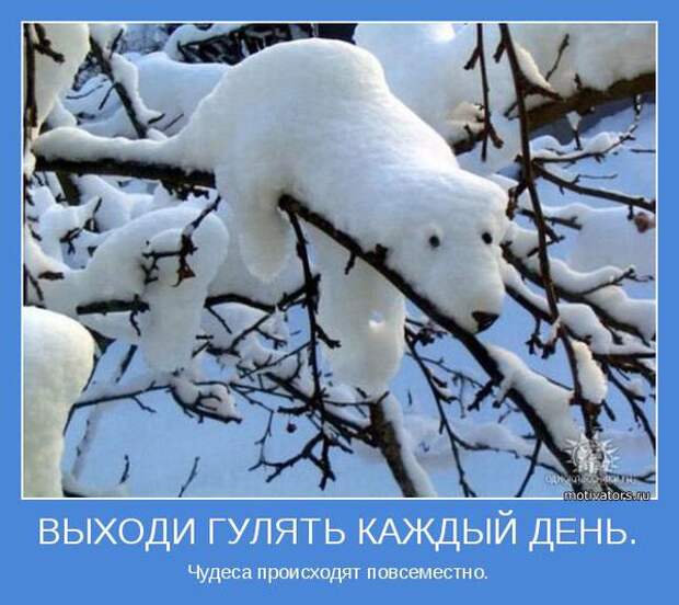 Забавные и веселые мотиваторы про зиму (10 фото)