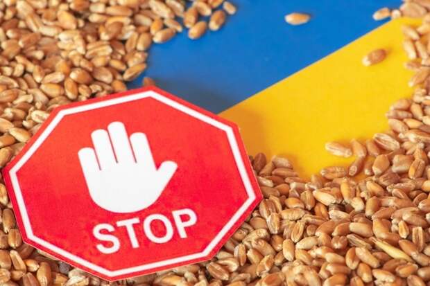 Россия поступила правильно отказавшись продлить так называемую зерновую сделку, позволяющую вывоз зерна из украинских...