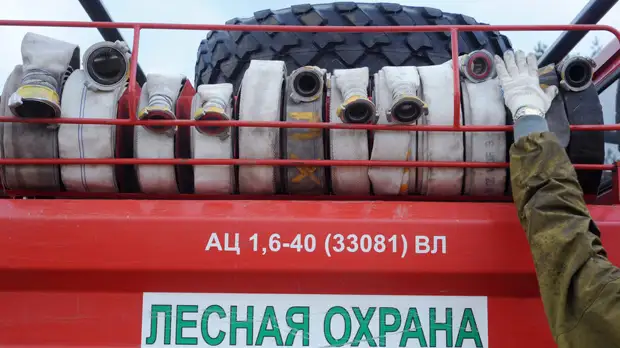 Материальный ущерб от природных пожаров в России в 2021 году составил более 10 млрд рублей