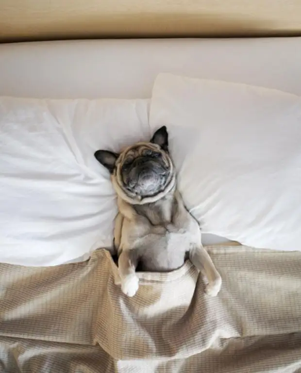 Каникулы. Фото: Jeremy Veach. Каникулы. Фото: Jeremy Veach.