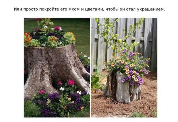 dacha_13 (700x482, 82Kb)
