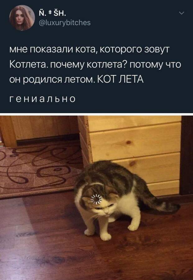 1593718224_0002.jpg