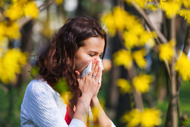 alergija-na-ambroziju
