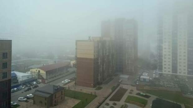 Туман в Барнауле / Фото: amic.ru