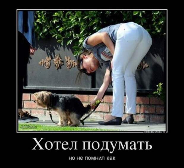 Демотиваторы в цитататах и афоризмах о жизни!