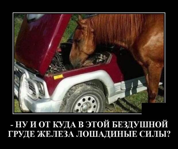 Демотиваторы 22 июля 2021
