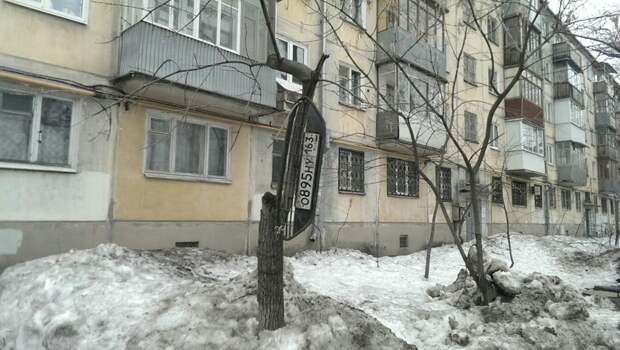 Номера на деревьях - это нормально для данного города  прикол, россия, самара, юмор