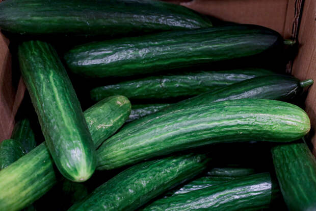 В России упали цены на один продукт