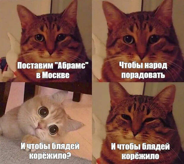 photo_2024-05-02_00-59-50