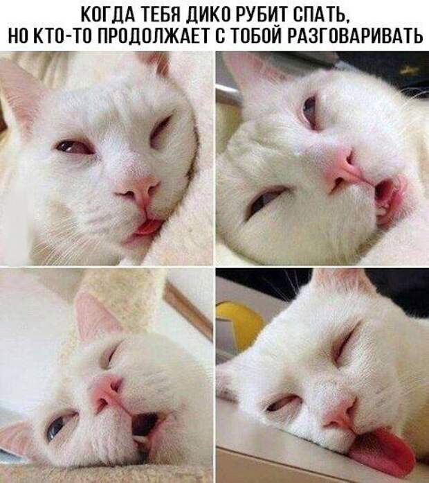 Веселые и жизненные картинки с надписями со смыслом (12 фото) Веселые и жизненные картинки с надписями со смыслом (12 фото)