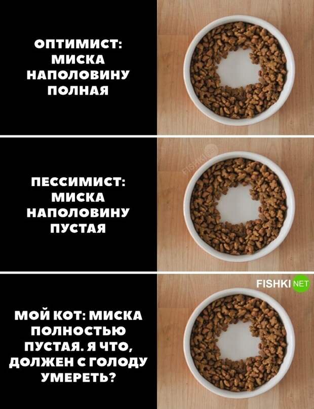 Дилемма с коньяком: вся суть пессимистов и оптимистов