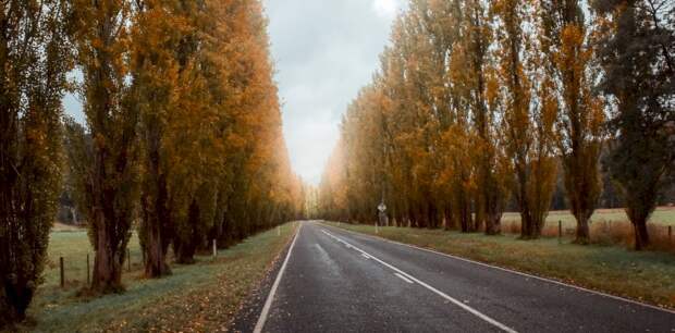 Такой день. Частичная мобилизация в Алтайском крае и падение дельтаплана