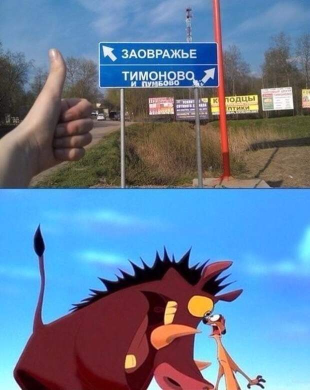 Смешные картинки с надписями Смешные картинки с надписями прикол, юмор