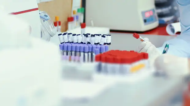 Вирусолог Малинникова рассказала об особенностях Т-клеточного иммунитета