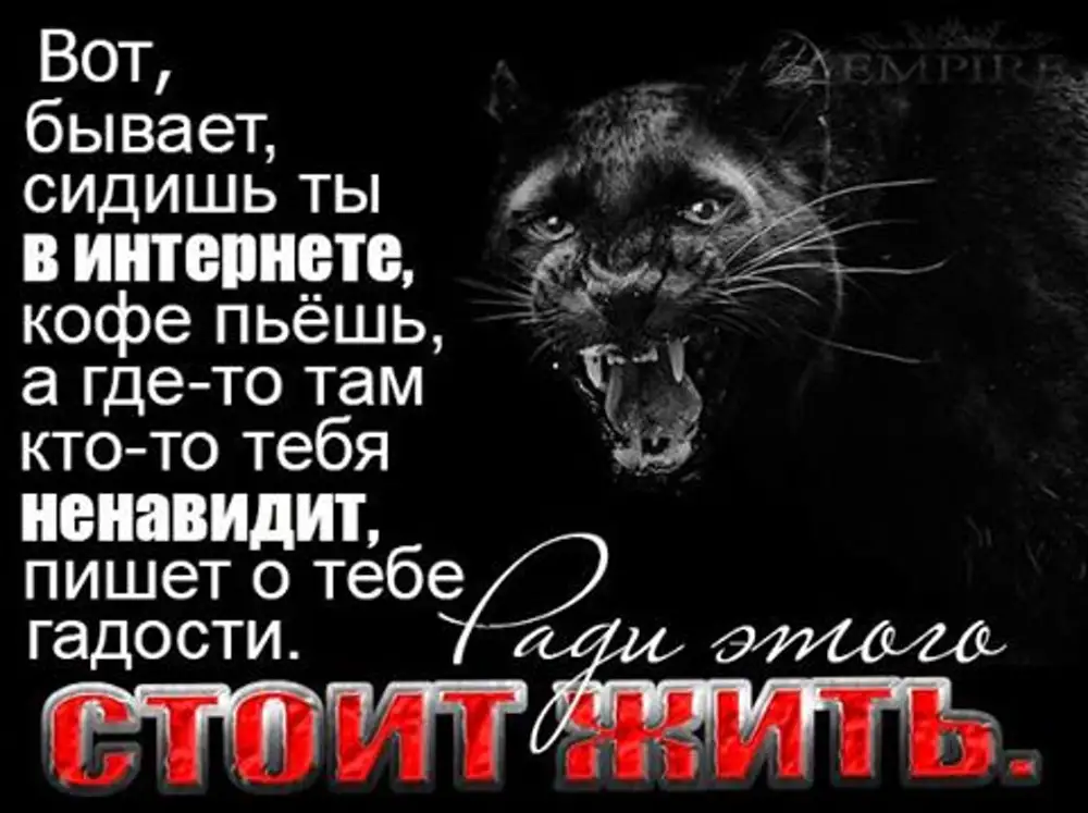 Я тебя ненавижу а вот