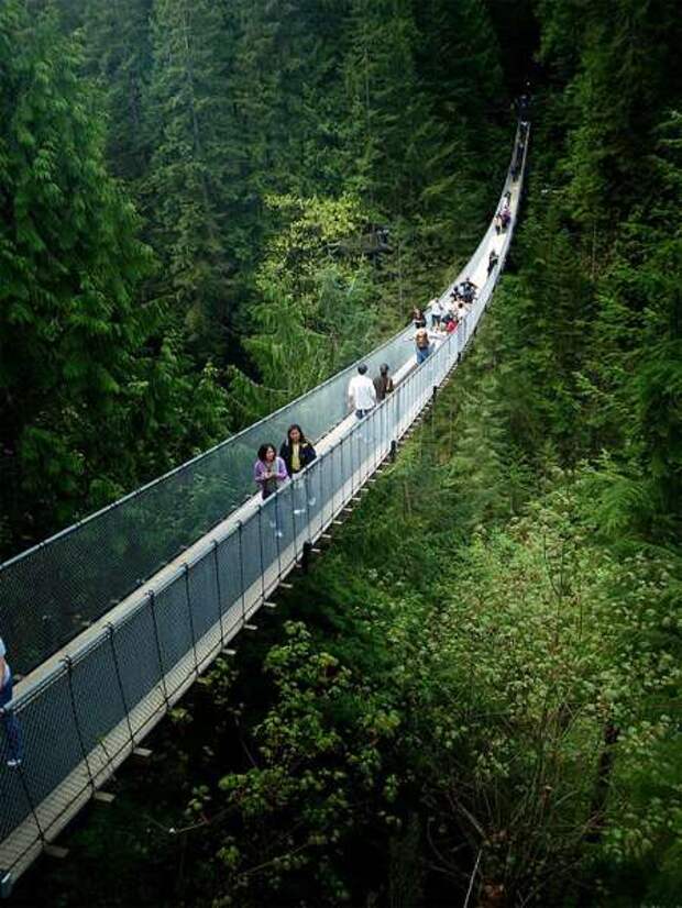 Прогулка над пропастью: фантастический мост в канадском Ванкувере