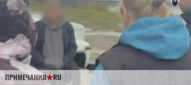 В Подмосковье маньяк заманивал женщин под видом найма няни и заставлял принимать наркотики