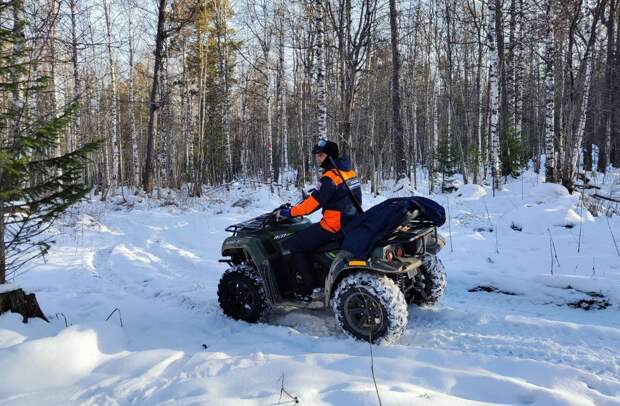 Эксперт объяснил странное свечение в тайге, где пропала семья Усольцевых