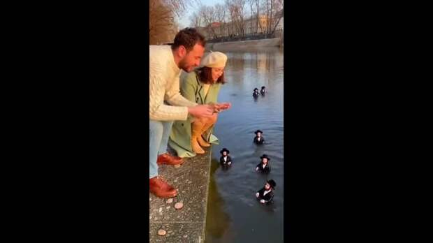 Одесский юмор https://t.me/webmoney_dn/310807Video: Клип