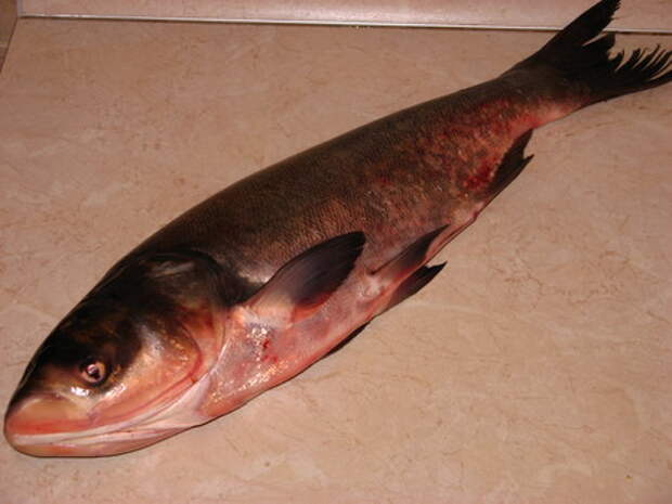 Рыбка в имбирном маринаде — фото 2