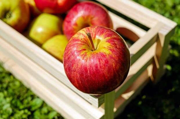 Как приготовить домашний яблочный уксус? Простой рецепт